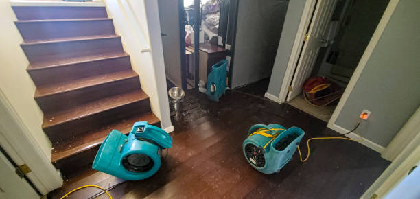 Best Residential water damage restoration  in Ke Providence, LA