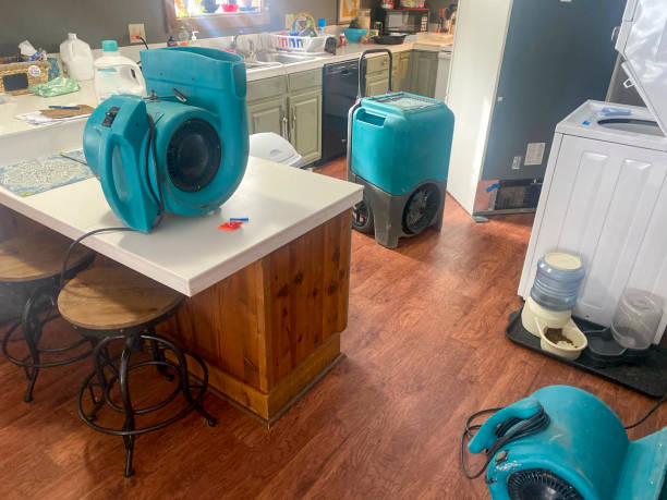 Best Commercial water damage restoration  in Ke Providence, LA