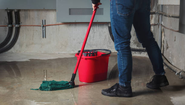 Best Professional water damage repair  in Ke Providence, LA