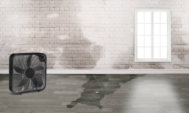 Best 24-hour water damage restoration  in Ke Providence, LA