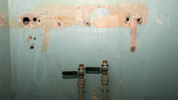 Best Water damage restoration near me  in Ke Providence, LA
