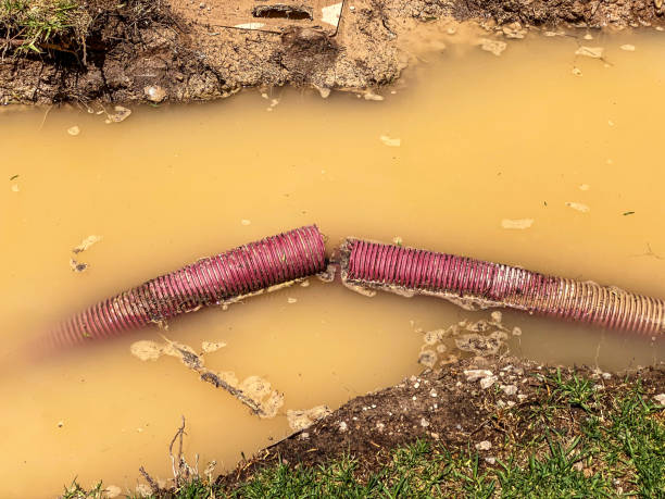 Best Mold removal after water damage  in Ke Providence, LA