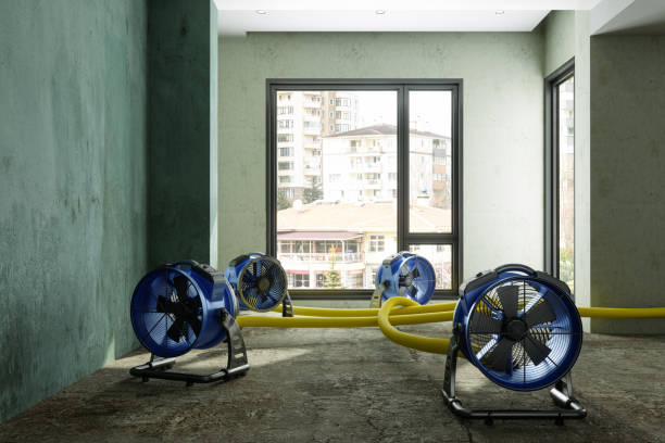 Best Fire Damage Restoration  in Ke Providence, LA